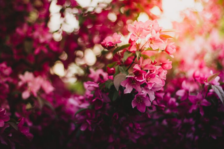 5 Ways to Honour a Loved One’s Memory at Easter